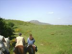 vers le Puy Mary, randonnée à partir du gite équestre du Limon Puy Mary dans le Cantal (15) vers le Puy Mary, randonnée à partir du gite équestre du Limon Puy Mary dans le Cantal (15)