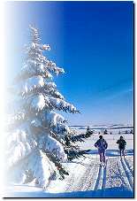 Ski de fond dans le Cantal (15) Ski de fond dans le Cantal (15)